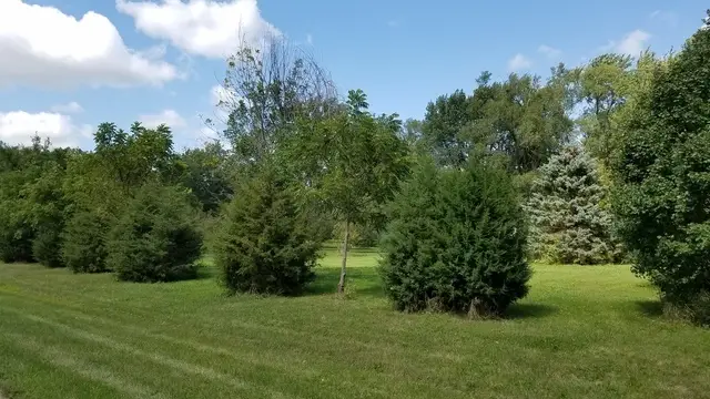 5548 W Heatherbrook Trail, Monee, IL 60449 - Image #2