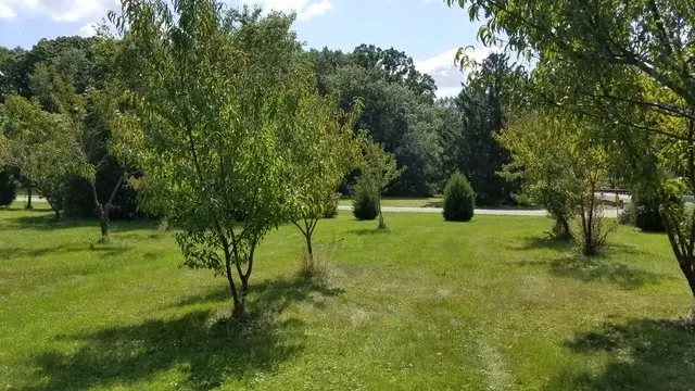 5548 W Heatherbrook Trail, Monee, IL 60449 - Image #3