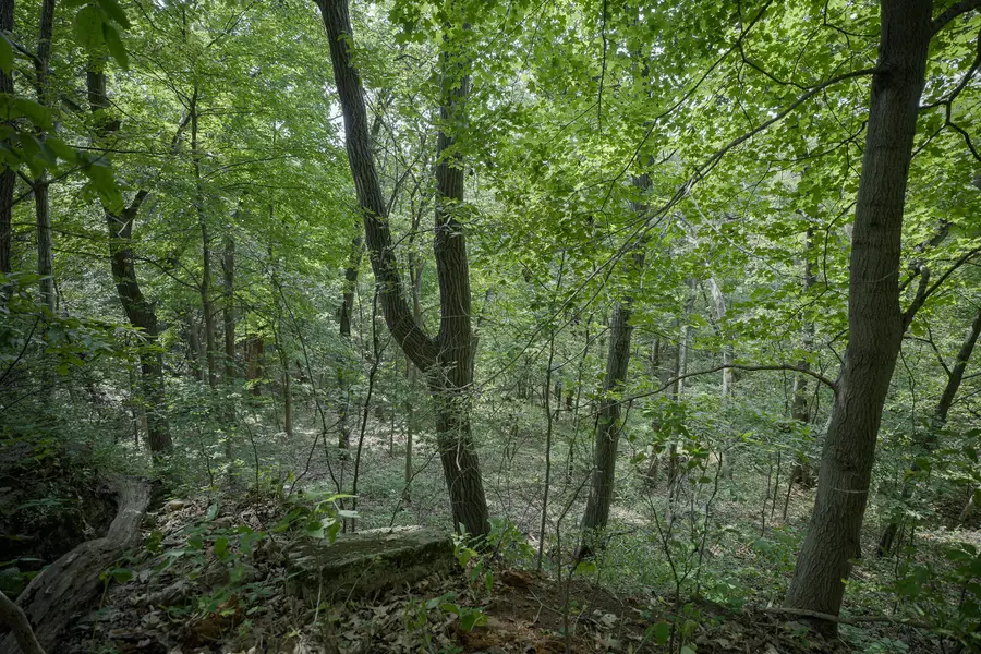 4820 Kopper Pond Road, Hanover, IL 61041 - Image #3