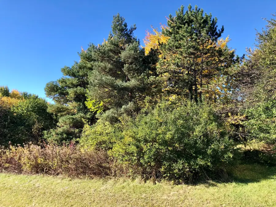 14067 W Pratum Terra Drive, Wadsworth, IL 60083 - Image #3