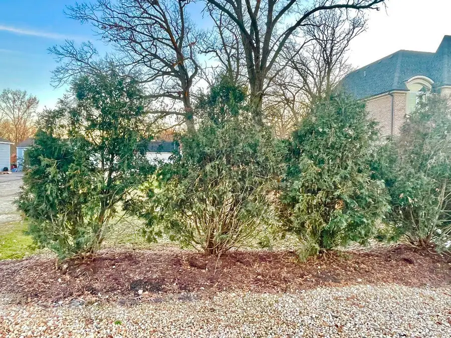 17w231 Red Oak Street, Bensenville, IL 60106 - Image #3