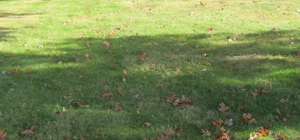 6423 S County Line Road, Burr Ridge, IL 60527