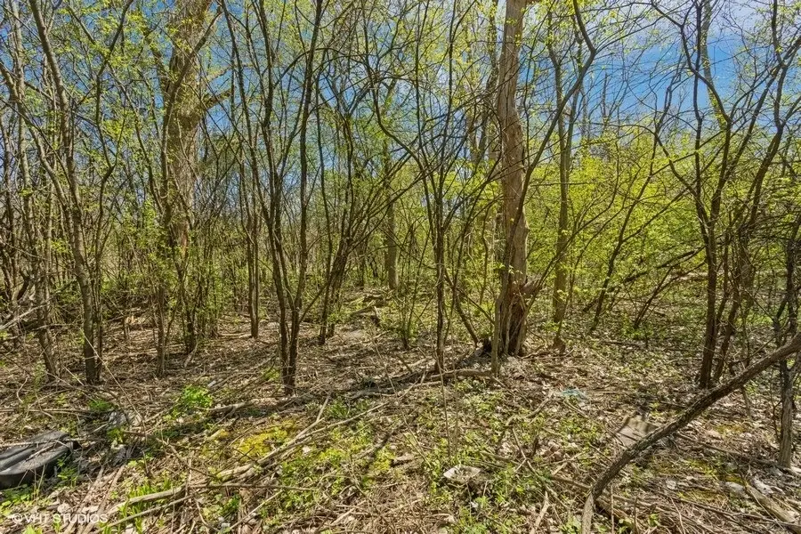 1630 LOT 5 Myrtle Park Street, Roselle, IL 60172 - Image #2