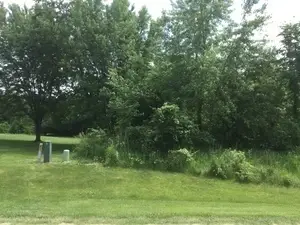 LOT 4 Williams Circle, Genoa, IL 60135 - Image #3