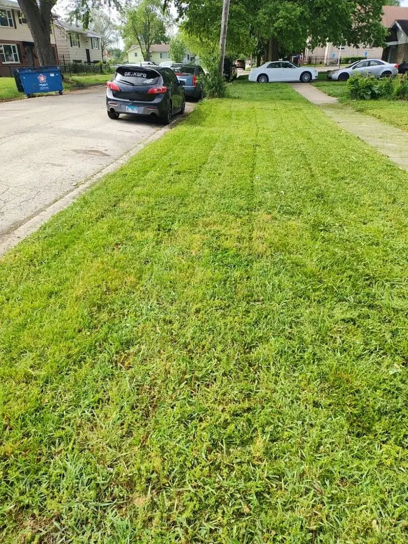 859 N Evergreen Avenue, Kankakee, IL 60901 - Image #3