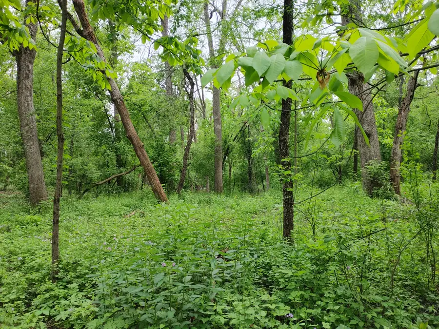 Lot4 Wisconsin Parkway, Delavan, WI 53115 - Image #3