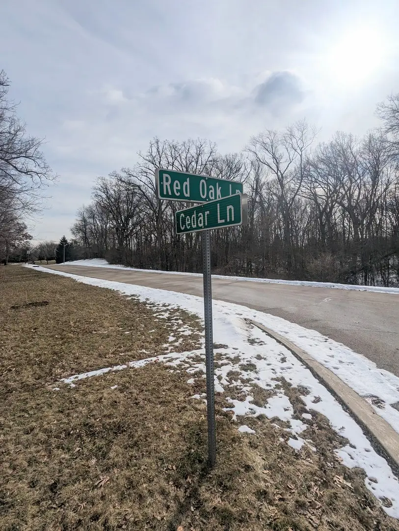 1711 Cedar Lane, Spring Grove, IL 60081 - Image #3