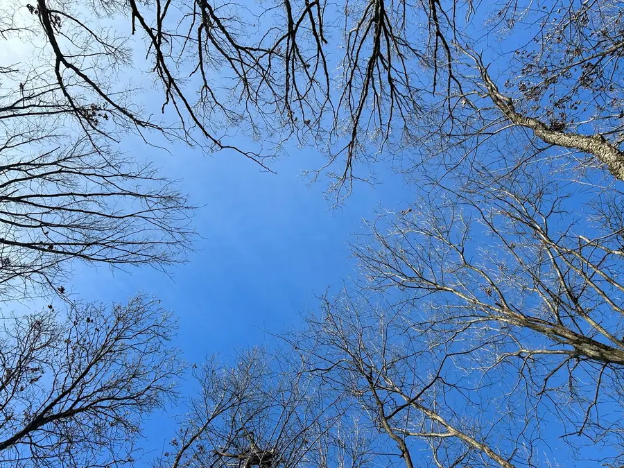 13721 W 167th Street, Homer Glen, IL 60491 - Image #3