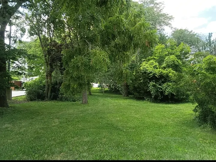 16724 Oak Park Avenue, Tinley Park, IL 60477 - Image #2