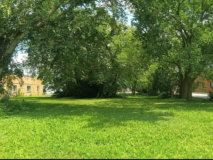 16724 Oak Park Avenue, Tinley Park, IL 60477 - Image #3