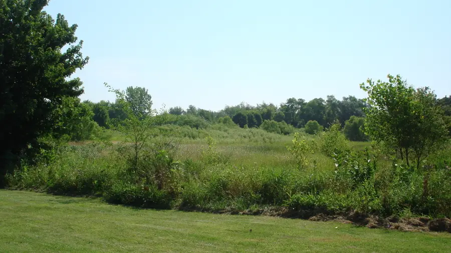 15816 Cardinal Drive, Huntley, IL 60142 - Image #3