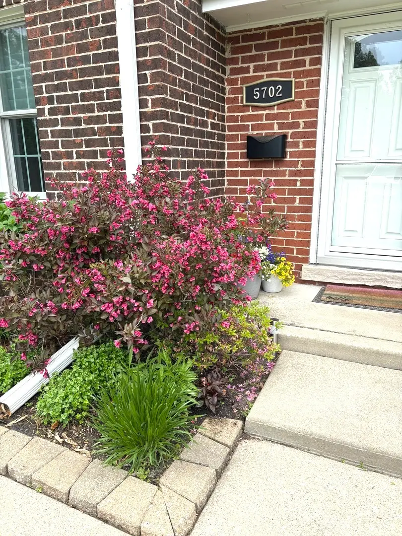 5702 S Park Avenue, Hinsdale, IL 60521 - #2