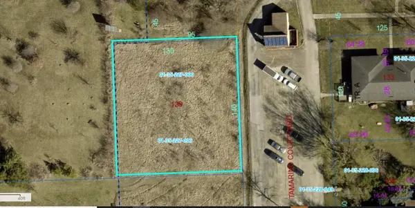 139 Tamarind Court, Cabery, IL 60919