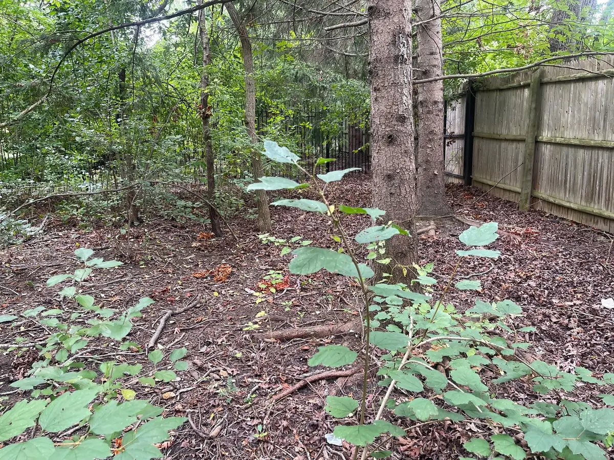 1351 N Sheridan Road, Lake Forest, IL 60045 - Image #1