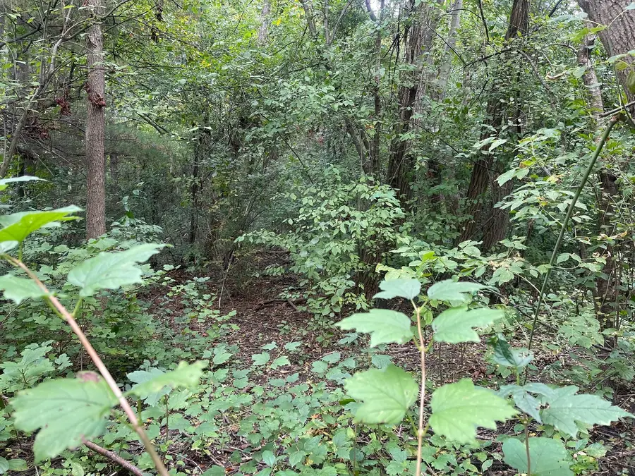 1351 N Sheridan Road, Lake Forest, IL 60045 - Image #2