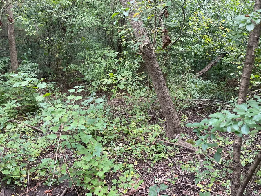 1351 N Sheridan Road, Lake Forest, IL 60045 - Image #3