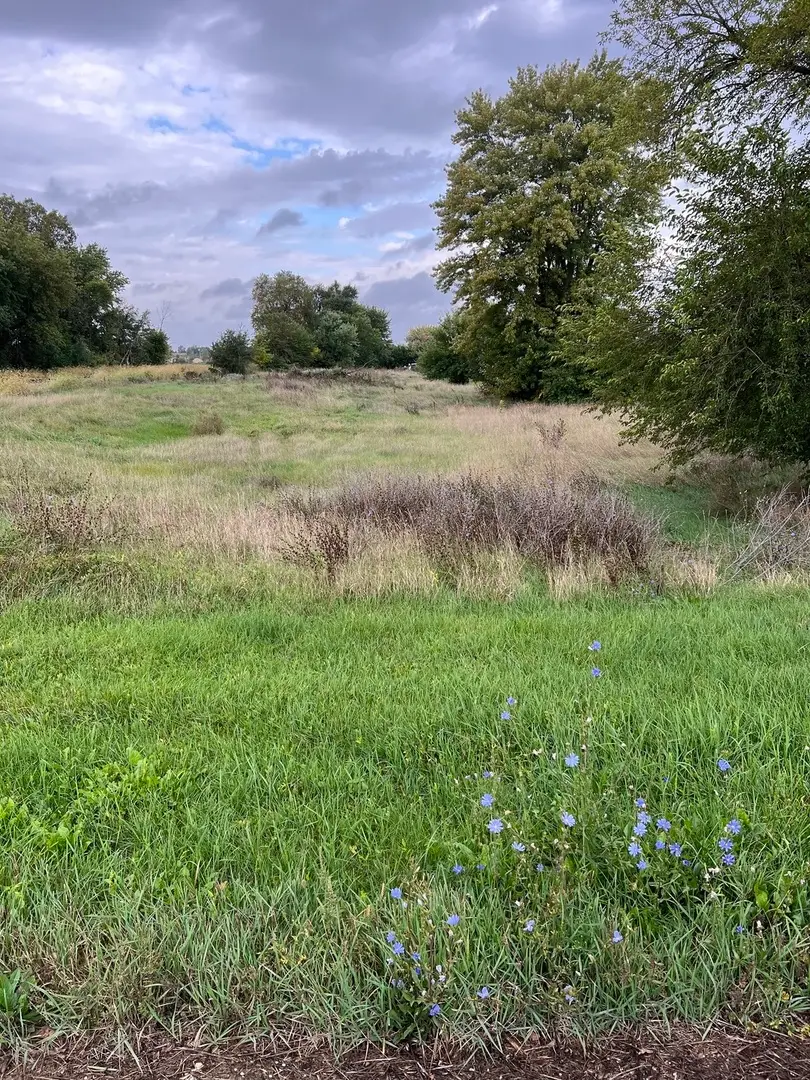 0 West Street, Kirkland, IL 60146 - Image #2