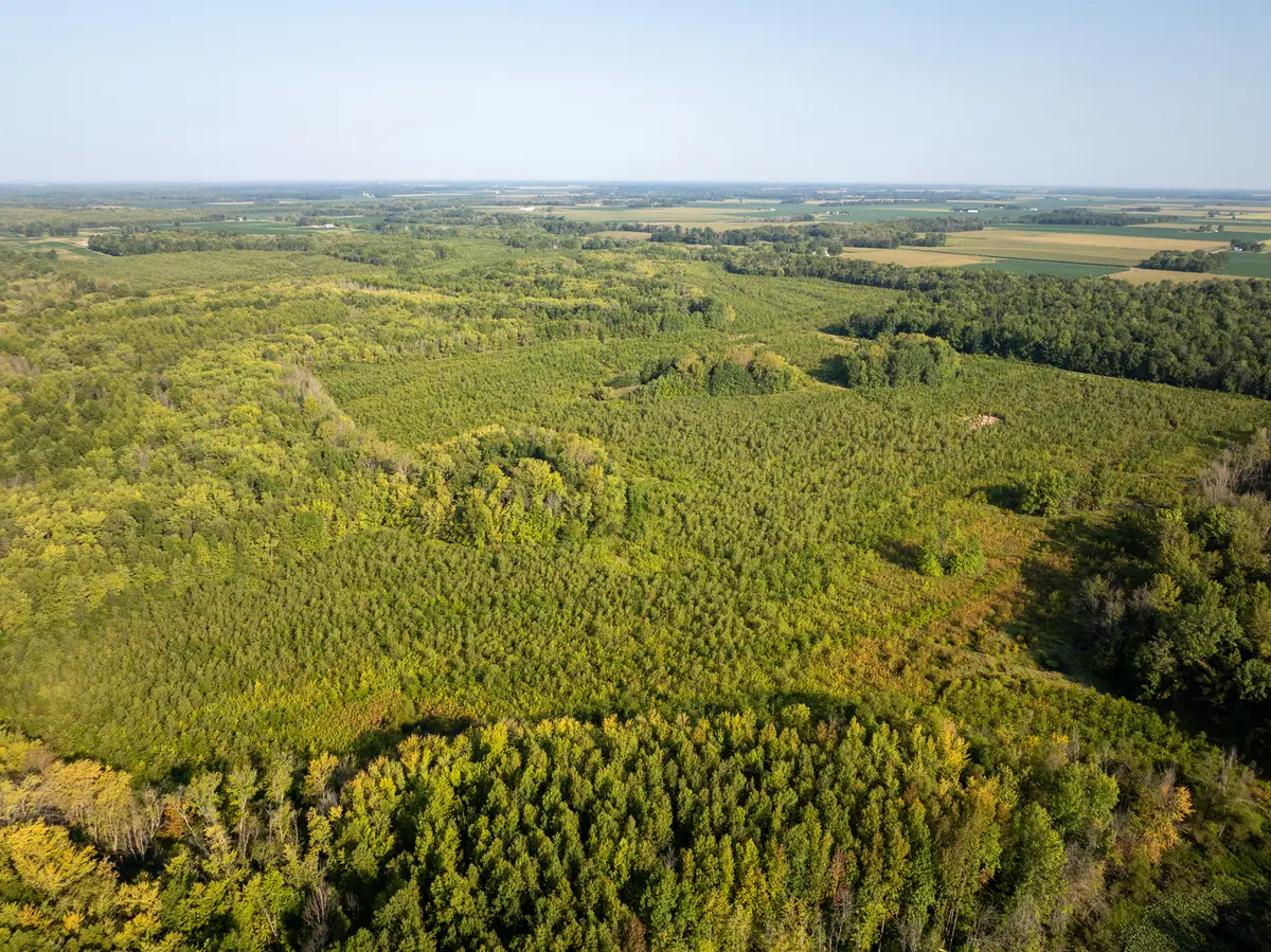 Tract 2 Mint Lane, Clay City, IL 62824 - Image #1