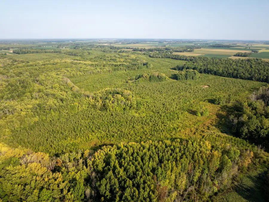 Tract 2 Mint Lane, Clay City, IL 62824 - Image #2