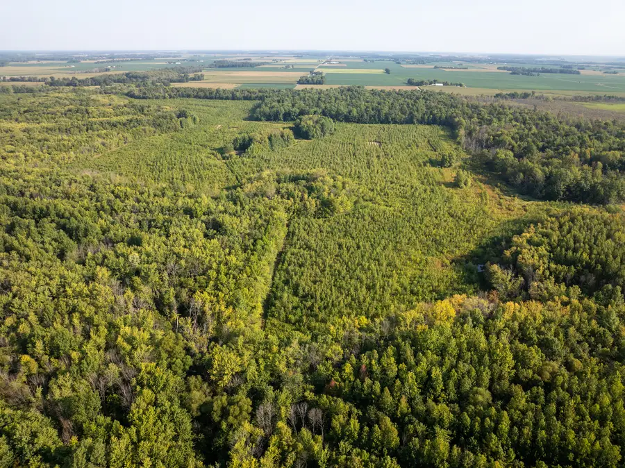 Tract 2 Mint Lane, Clay City, IL 62824 - Image #3