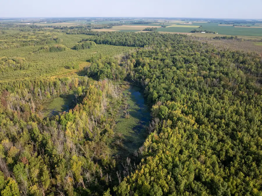 Tract 3 Mayflower Road, Clay City, IL 62824 - Image #2