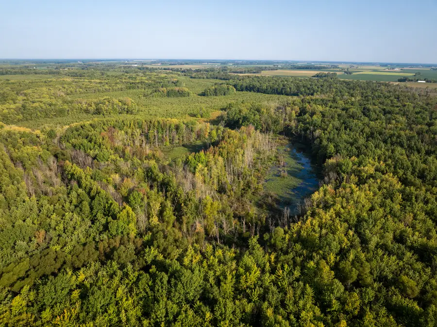 Tract 3 Mayflower Road, Clay City, IL 62824 - Image #3