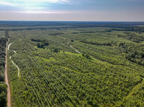 Tract 4 Mayflower Road, Clay City, IL 62824