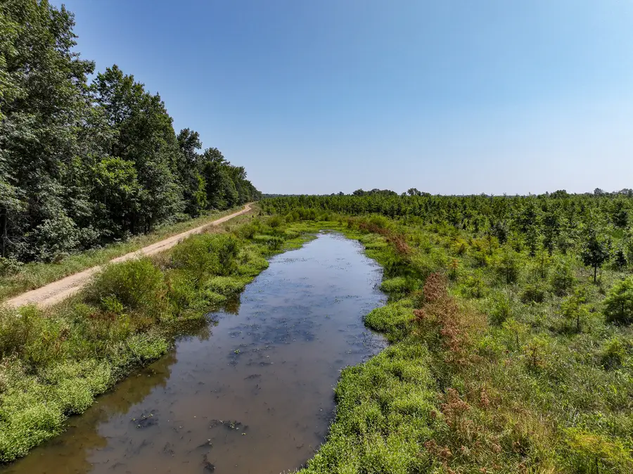 Tract 4 Mayflower Road, Clay City, IL 62824 - Image #3