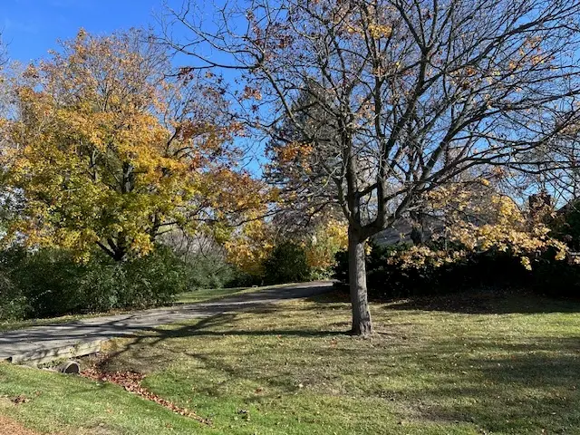 335 Countryside Court, Burr Ridge, IL 60527 - Image #2