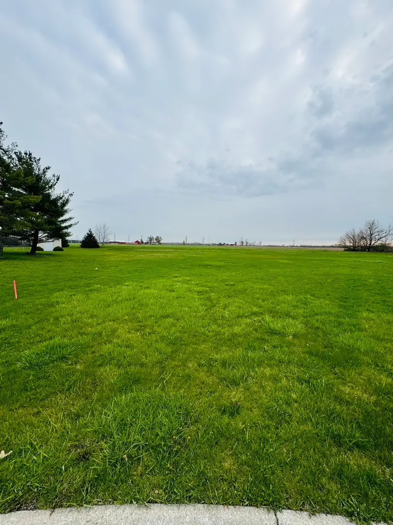 1039 Country Court, Crete, IL 60417 - Image #1