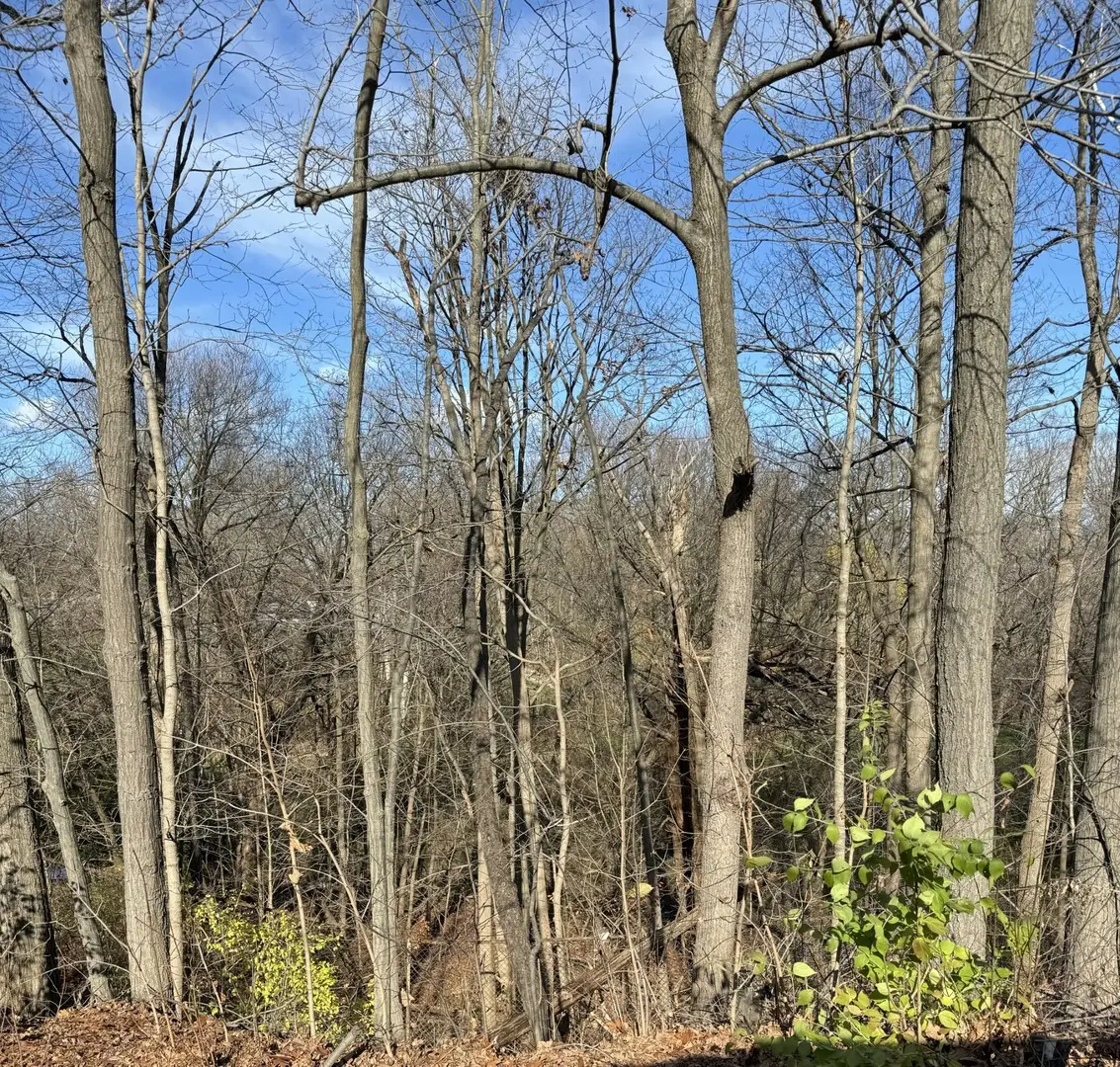 10420 W Pickford Avenue, Beach Park, IL 60099 - Image #1