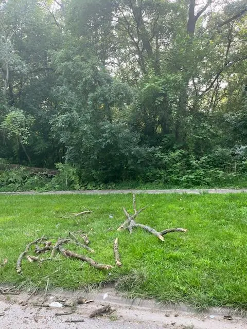 13536 Central Park Avenue, Robbins, IL 60472