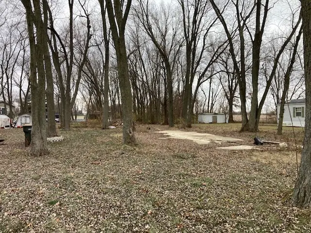 1065 W Main Street, Braidwood, IL 60408 - Image #1