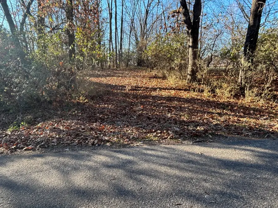 617 Brookside Drive, Varna, IL 61375 - Image #3