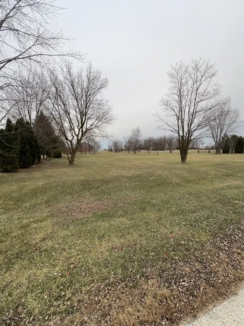 4816 W Roberts Ridge Road, Monee, IL 60449 - Image #2