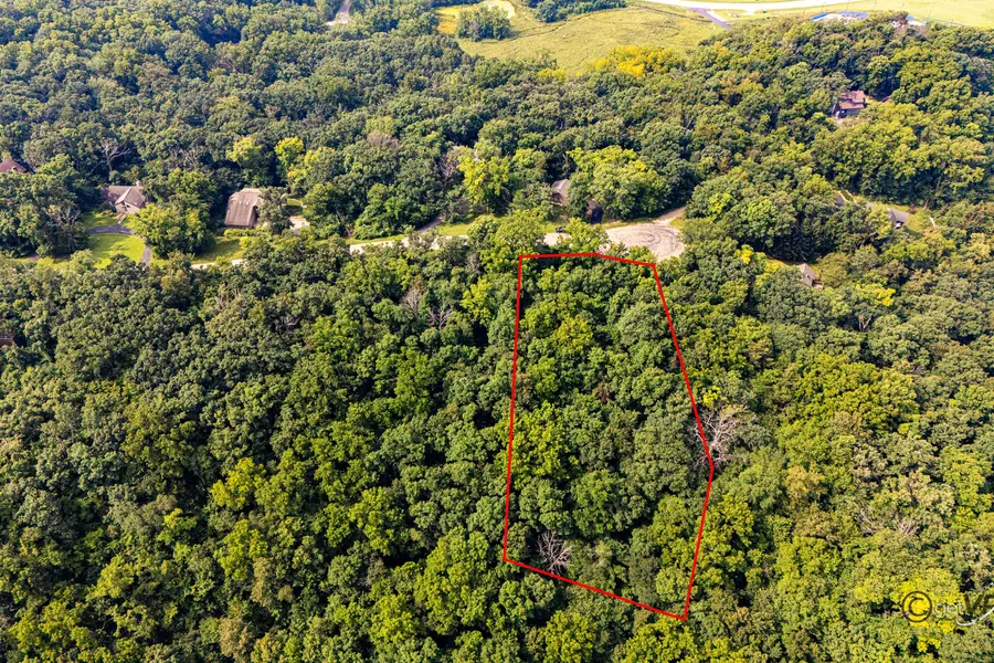 45 Lookout Trace, Galena, IL 61036 - Image #3