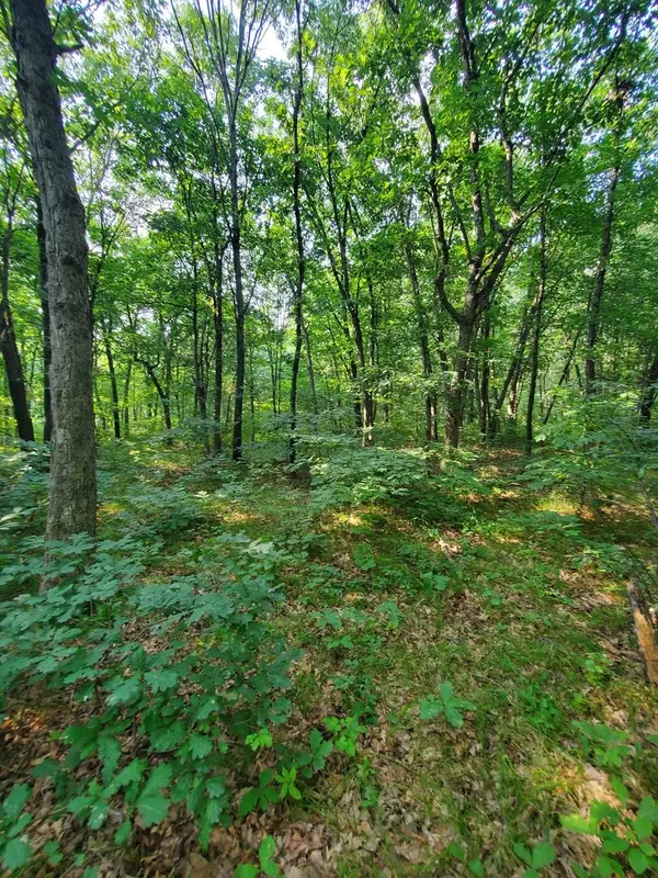 0000 1840 Road, Pembroke Twp, IL 60958