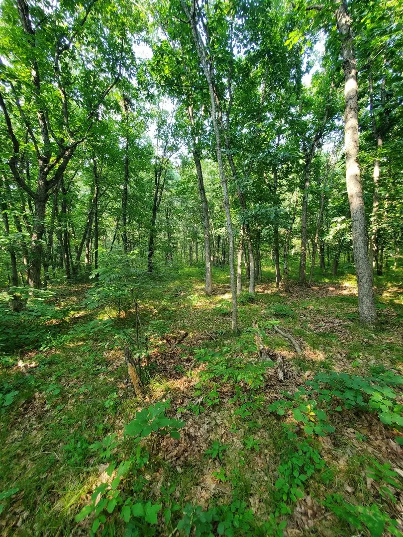 0000 1840 Road, Pembroke Township, IL 60958 - Image #2