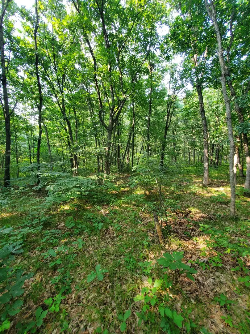 0000 1840 Road, Pembroke Township, IL 60958 - Image #3