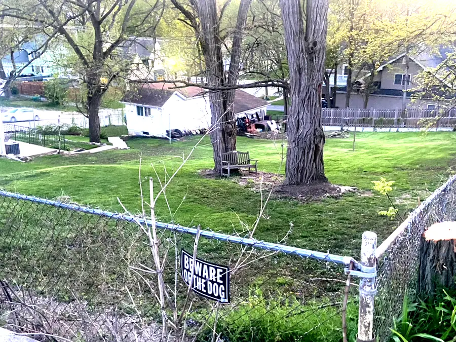 614 Czacki Street, Lemont, IL 60439 - Image #2