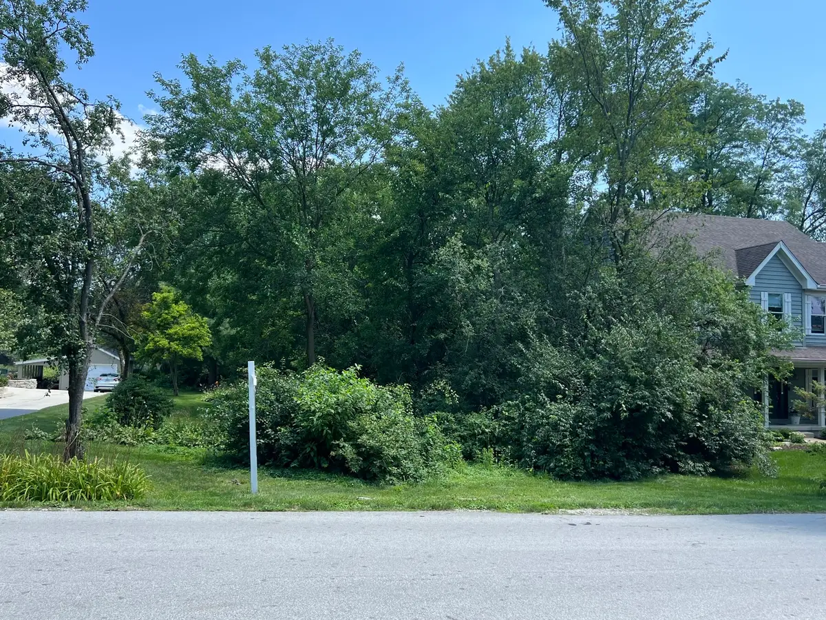 Lot 22 Sherman Avenue, Downers Grove, IL 60515 - Image #1