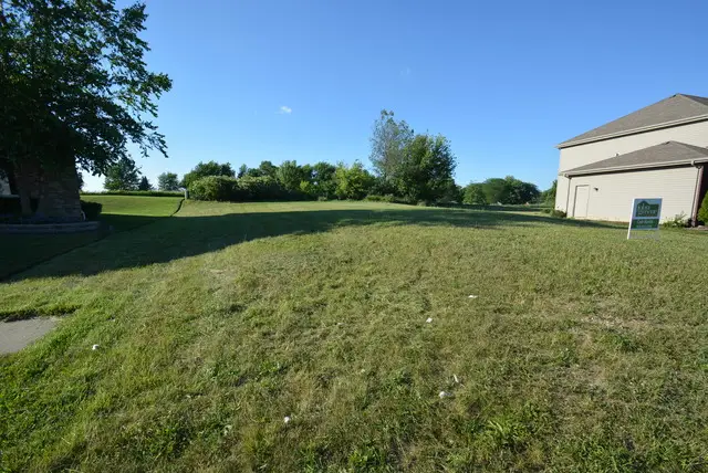 321 Pine Street, Beecher, IL 60401 - Image #3