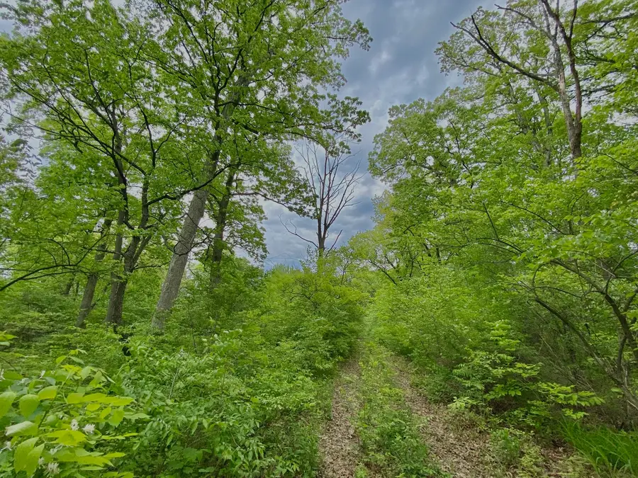 8322 W 123rd Street, Palos Park, IL 60464 - Image #3