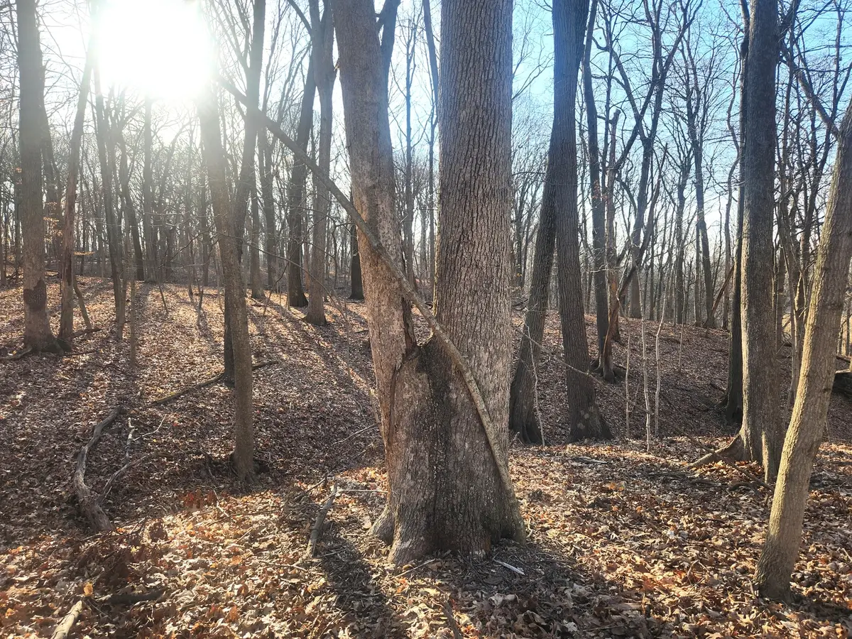 Lot 1764 Sunflower Court, Varna, IL 61375 - Image #1