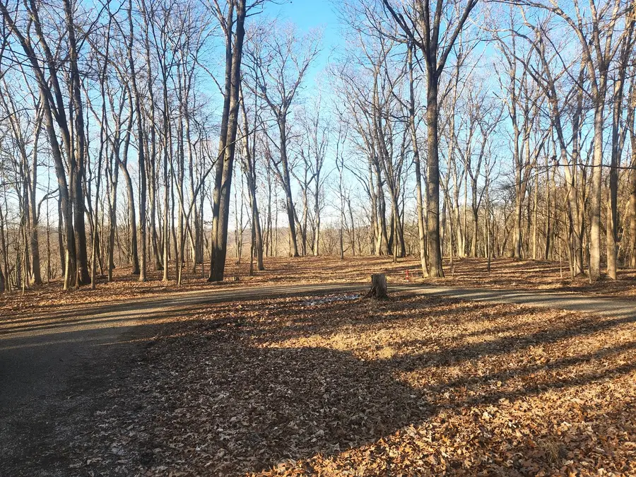 Lot 1764 Sunflower Court, Varna, IL 61375 - Image #3