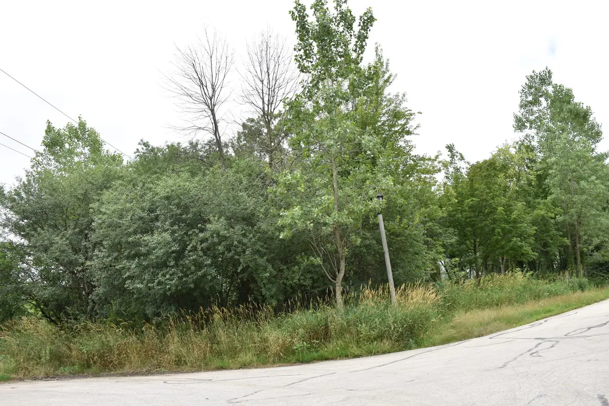 11665 Orchard Road, Willow Springs, IL 60480 - Image #1