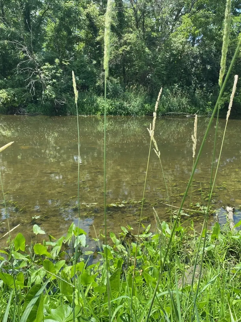 Address Withheld By Seller, New Lenox, IL 60451 - #3