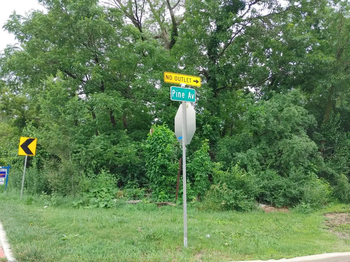 NEC Pine Avenue, West Chicago, IL 60185 - Image #1