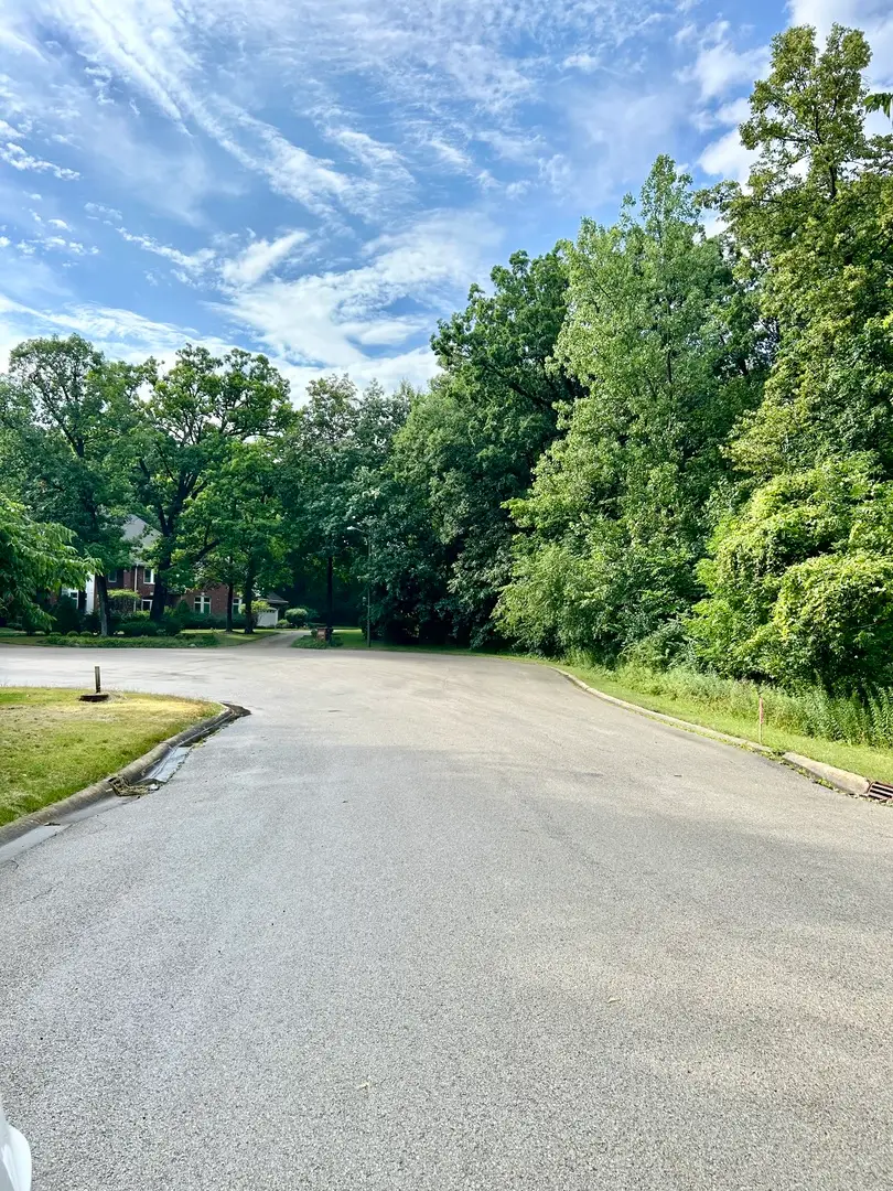 12932 Carrington Court, New Lenox, IL 60451 - Image #3