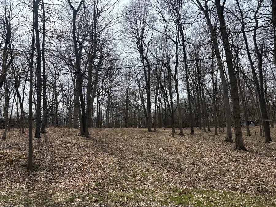 1729/1730/1731 Tanglewood Drive, Varna, IL 61375 - Image #2